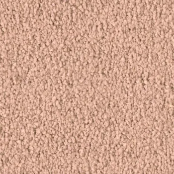 Preview: Vorwerk Violetta 1Q06 – Draufsicht Teppichboden Farbe 1Q06 ohne Badge